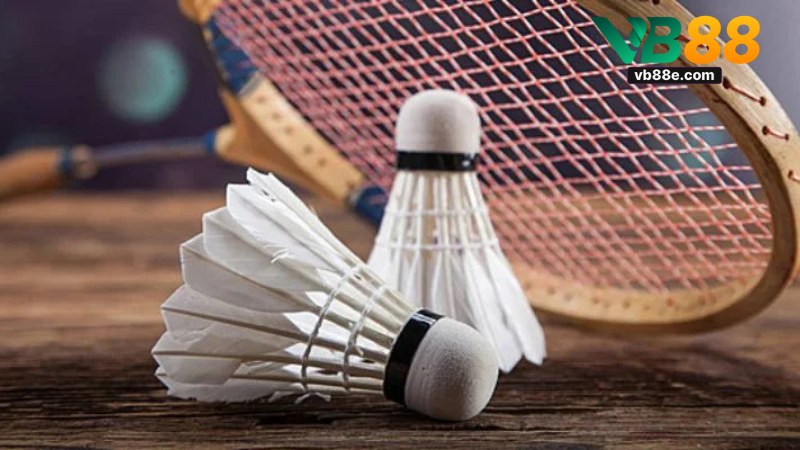 Cá Cược Cầu Lông